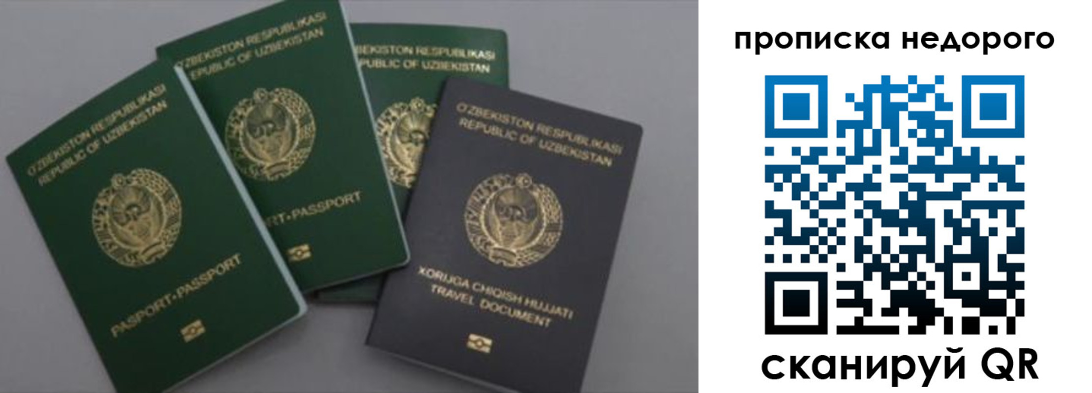 регистрация для школы в Северной Осетии